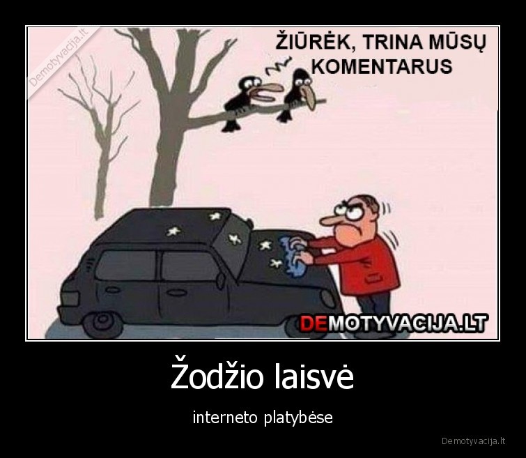 Žodžio laisvė - interneto platybėse. 