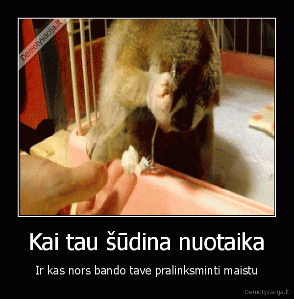 Kai tau šūdina nuotaika - Ir kas nors bando tave pralinksminti maistu. 