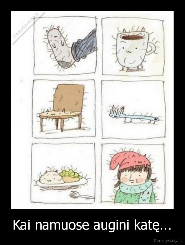 Kai namuose augini katę.... 