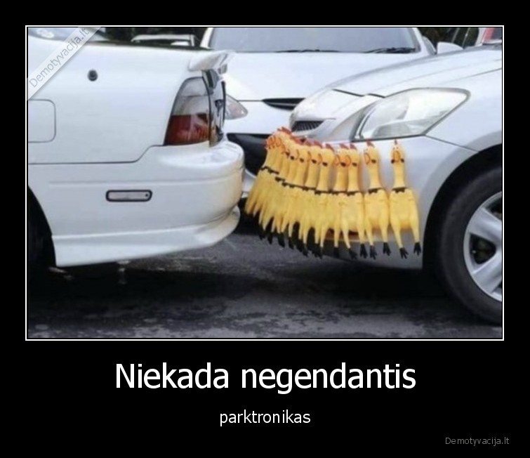 Niekada negendantis - parktronikas. 