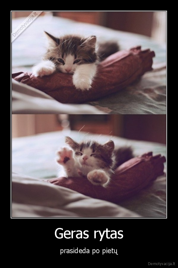 Geras rytas - prasideda po pietų. 