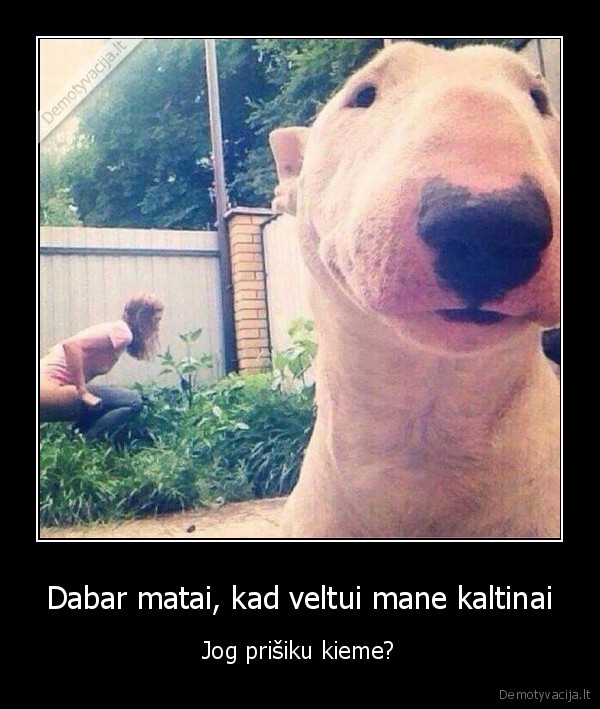 Dabar matai, kad veltui mane kaltinai - Jog prišiku kieme?. 