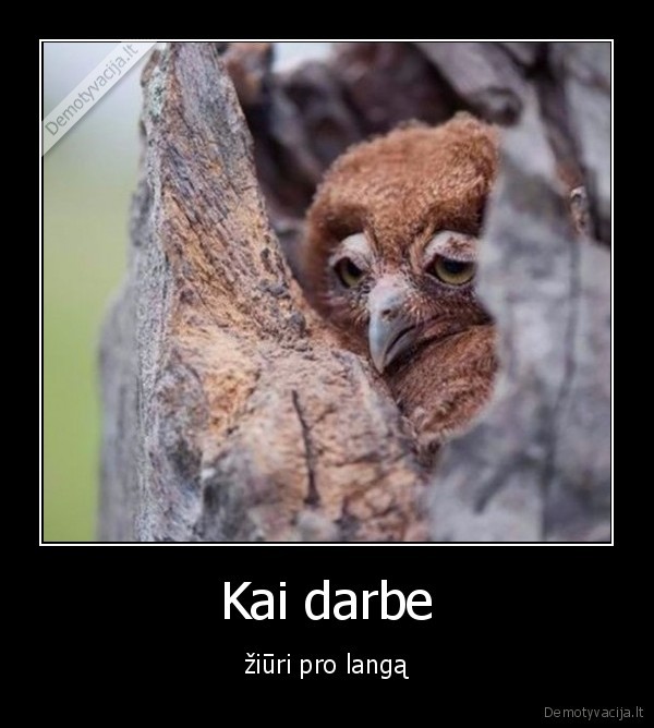 Kai darbe - žiūri pro langą. 