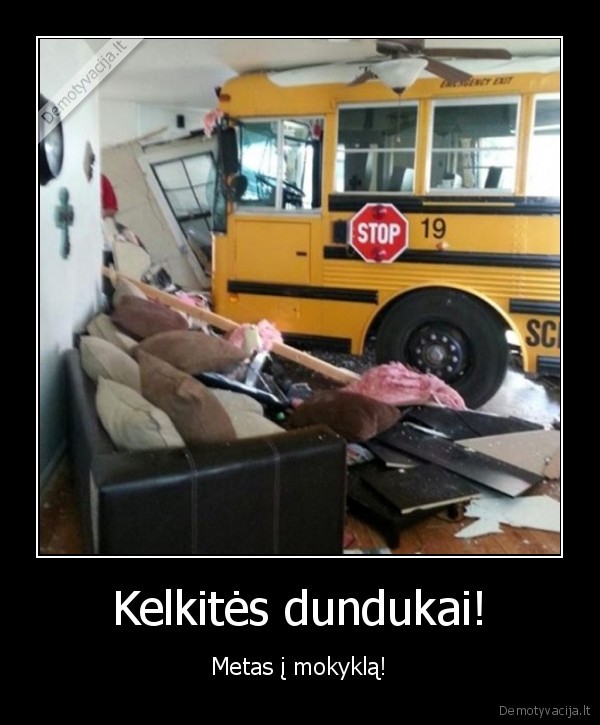 Kelkitės dundukai! - Metas į mokyklą!. 