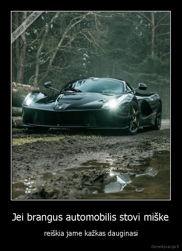 Jei brangus automobilis stovi miške - reiškia jame kažkas dauginasi. 