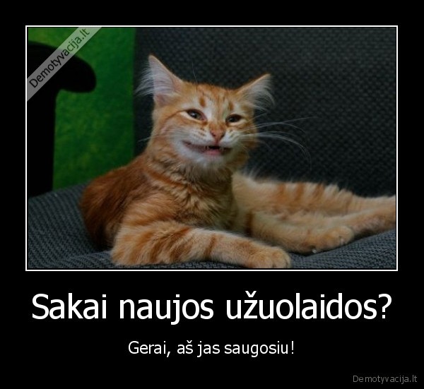 Sakai naujos užuolaidos? - Gerai, aš jas saugosiu!. 