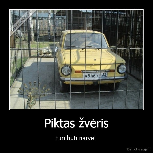 Piktas žvėris - turi būti narve!. 