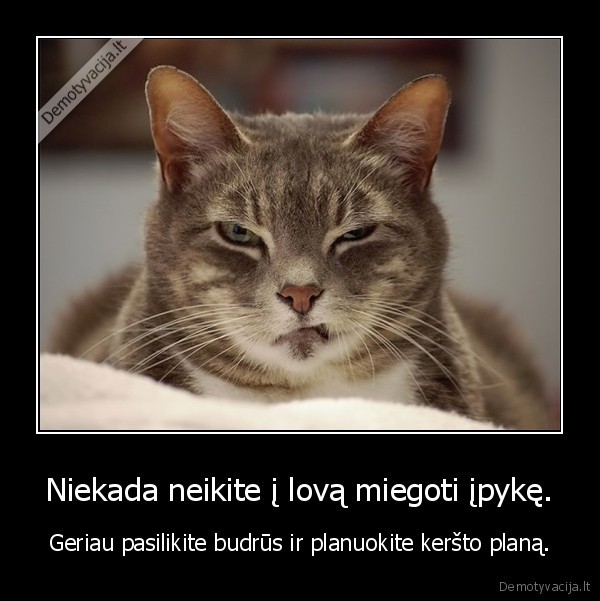 Niekada neikite į lovą miegoti įpykę. - Geriau pasilikite budrūs ir planuokite keršto planą.. 