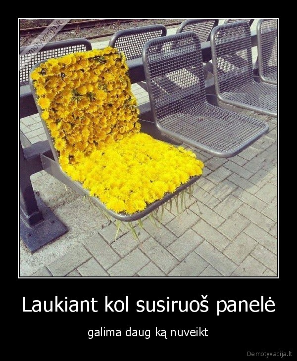 Laukiant kol susiruoš panelė - galima daug ką nuveikt. 