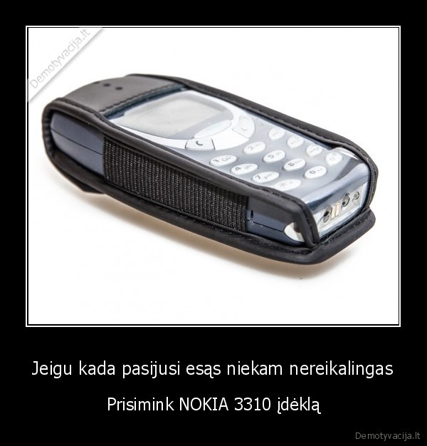 Jeigu kada pasijusi esąs niekam nereikalingas - Prisimink NOKIA 3310 įdėklą. 