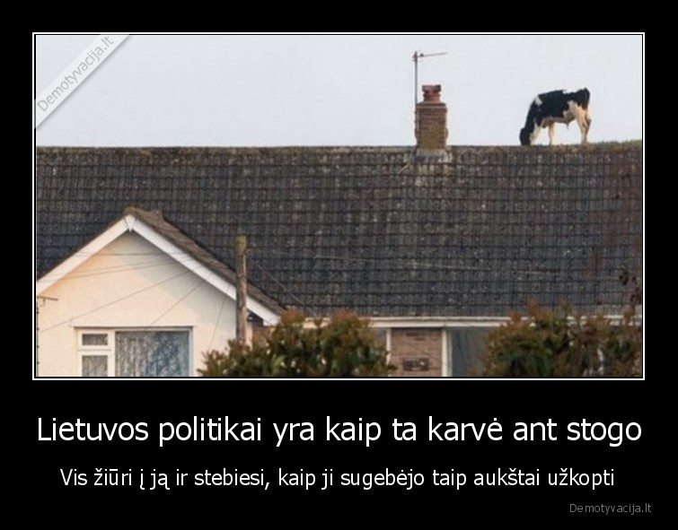 Lietuvos politikai yra kaip ta karvė ant stogo - Vis žiūri į ją ir stebiesi, kaip ji sugebėjo taip aukštai užkopti. 