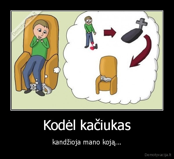 Kodėl kačiukas - kandžioja mano koją.... 