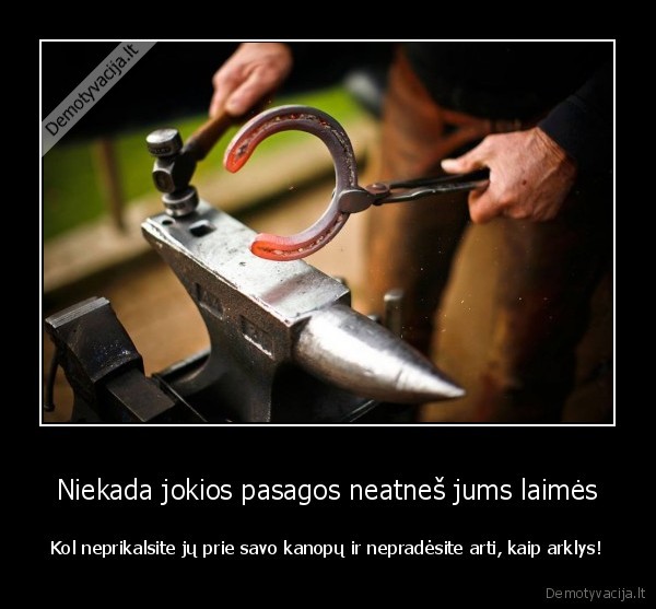 Niekada jokios pasagos neatneš jums laimės - Kol neprikalsite jų prie savo kanopų ir nepradėsite arti, kaip arklys!. 