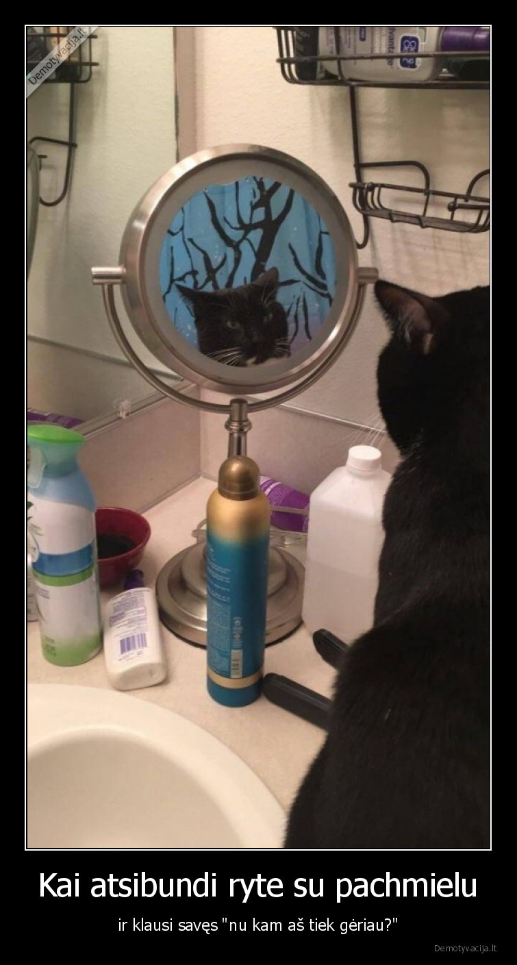 Kai atsibundi ryte su pachmielu - ir klausi savęs 