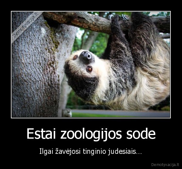 Estai zoologijos sode - Ilgai žavėjosi tinginio judesiais…. 