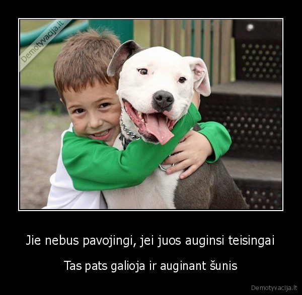 Jie nebus pavojingi, jei juos auginsi teisingai - Tas pats galioja ir auginant šunis. 