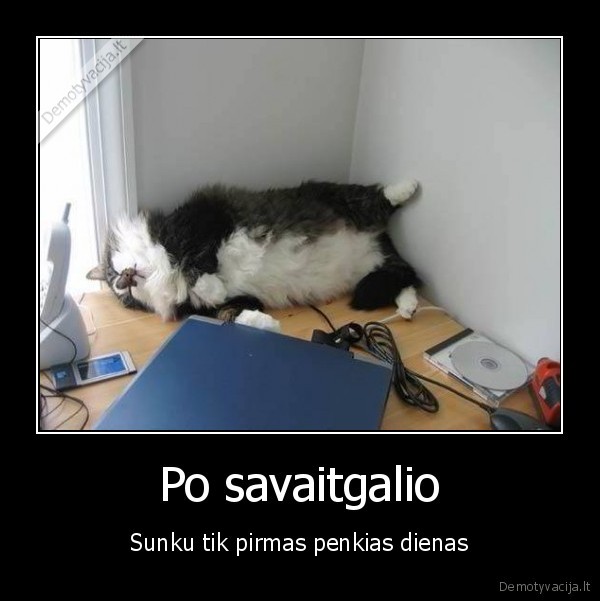 Po savaitgalio - Sunku tik pirmas penkias dienas. 