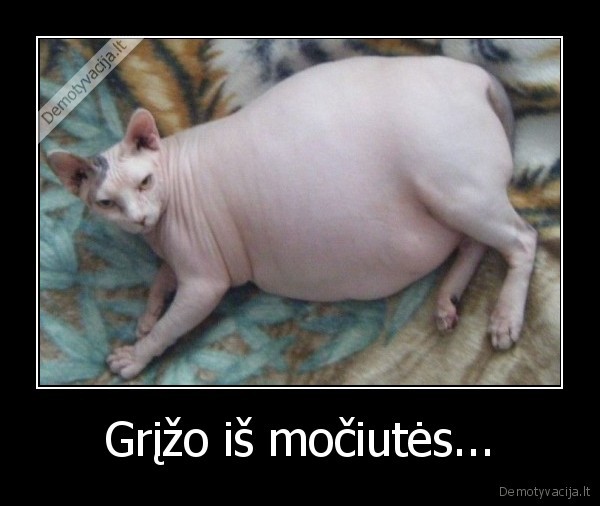 Grįžo iš močiutės.... 