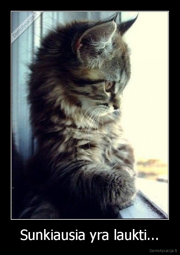 Sunkiausia yra laukti.... 