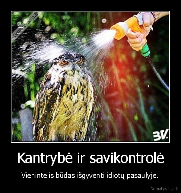 Kantrybė ir savikontrolė - Vienintelis būdas išgyventi idiotų pasaulyje.. 