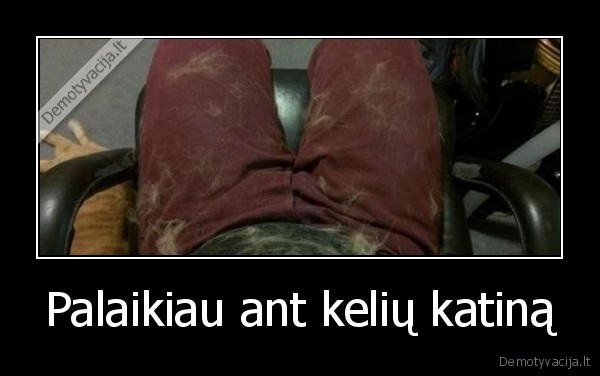 Palaikiau ant kelių katiną