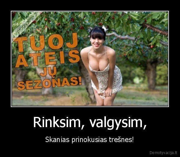 Rinksim, valgysim, - Skanias prinokusias trešnes!. 