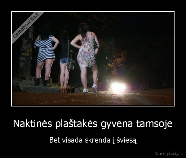 Naktinės plaštakės gyvena tamsoje - Bet visada skrenda į šviesą. 