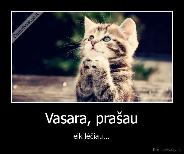 Vasara, prašau - eik lėčiau.... 
