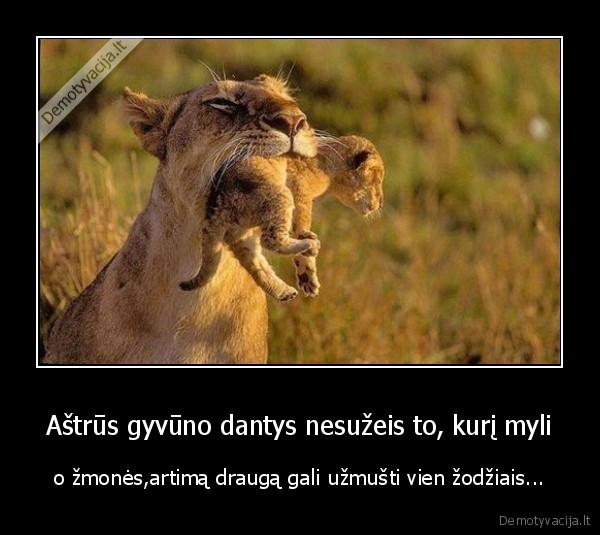 Aštrūs gyvūno dantys nesužeis to, kurį myli - o žmonės,artimą draugą gali užmušti vien žodžiais.... 