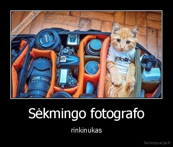 Sėkmingo fotografo - rinkinukas. 