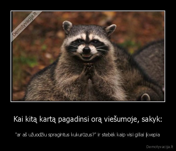 Kai kitą kartą pagadinsi orą viešumoje, sakyk: - 