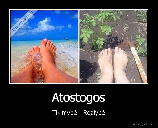 Atostogos - Tikimybė | Realybė. 