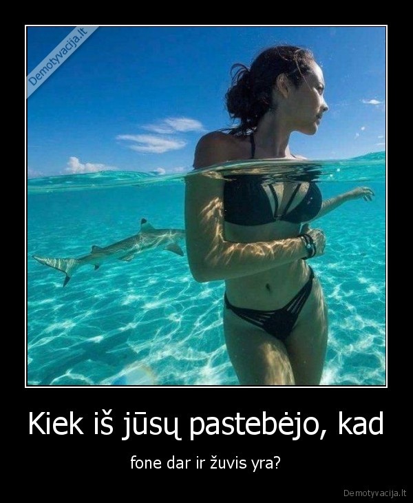 Kiek iš jūsų pastebėjo, kad - fone dar ir žuvis yra?. 