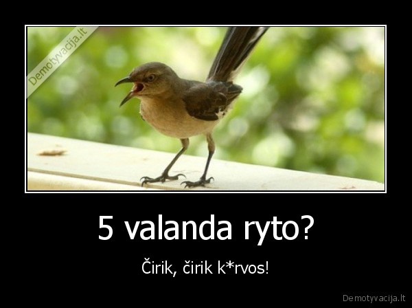 5 valanda ryto? - Čirik, čirik k*rvos!. 
