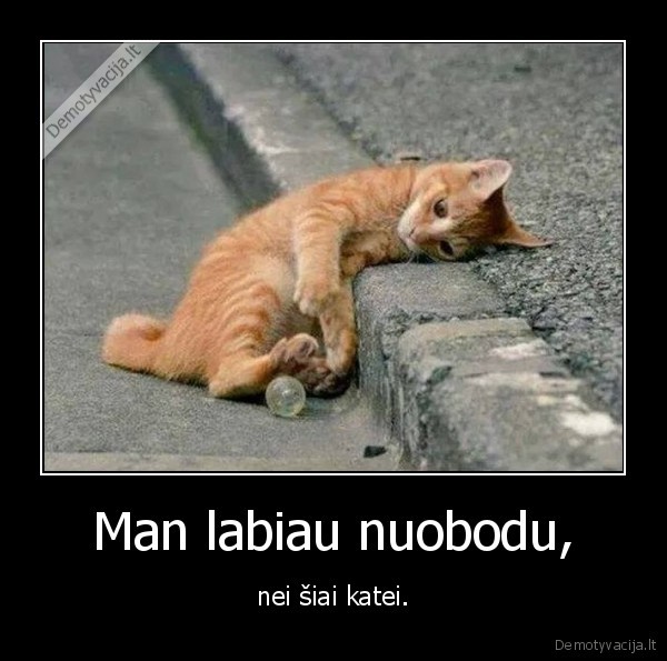 Man labiau nuobodu, - nei šiai katei.. 