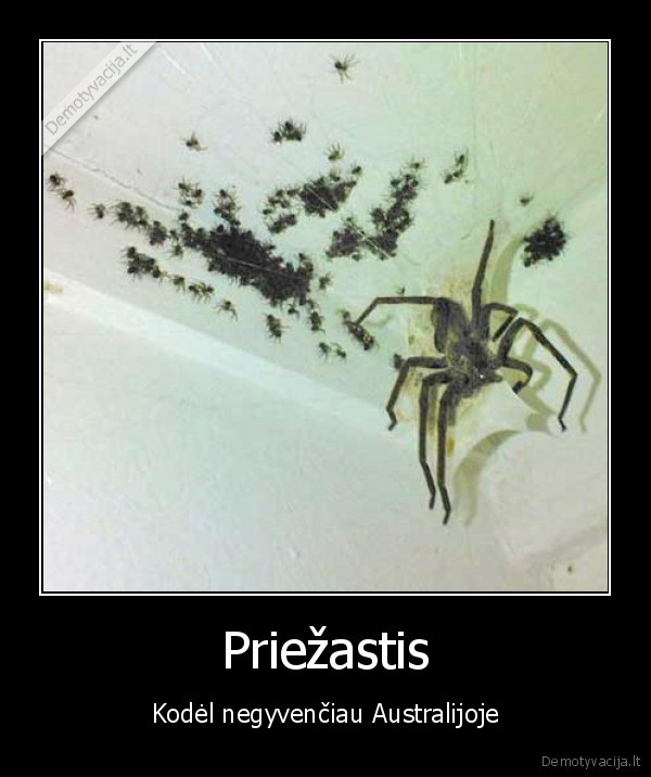 Priežastis - Kodėl negyvenčiau Australijoje. 