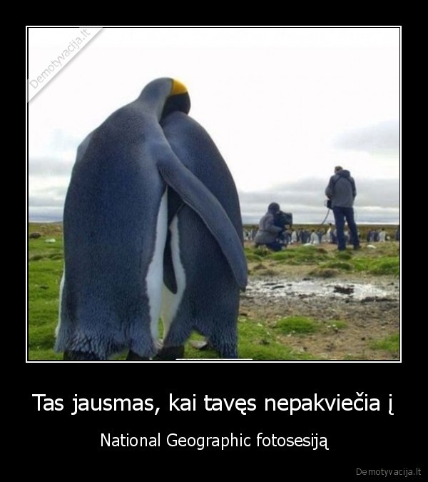 Tas jausmas, kai tavęs nepakviečia į - National Geographic fotosesiją. 