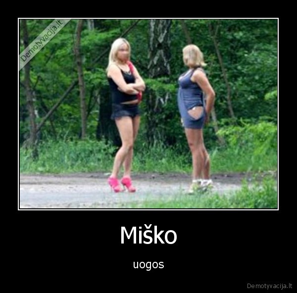 Miško - uogos. 