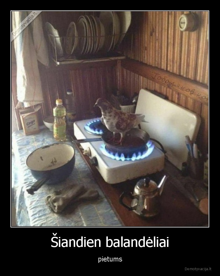 Šiandien balandėliai - pietums. 