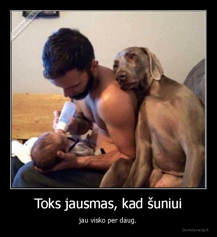 Toks jausmas, kad šuniui - jau visko per daug.. 