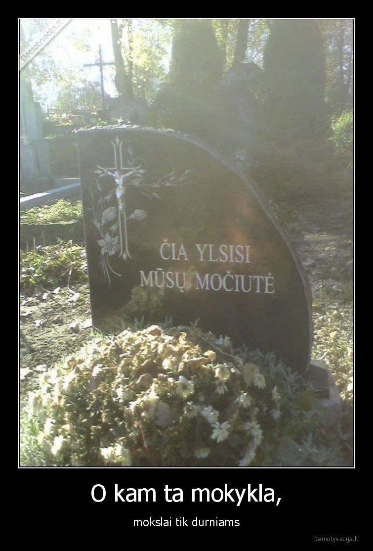 O kam ta mokykla, - mokslai tik durniams. 
