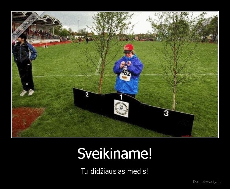 Sveikiname! - Tu didžiausias medis!. 