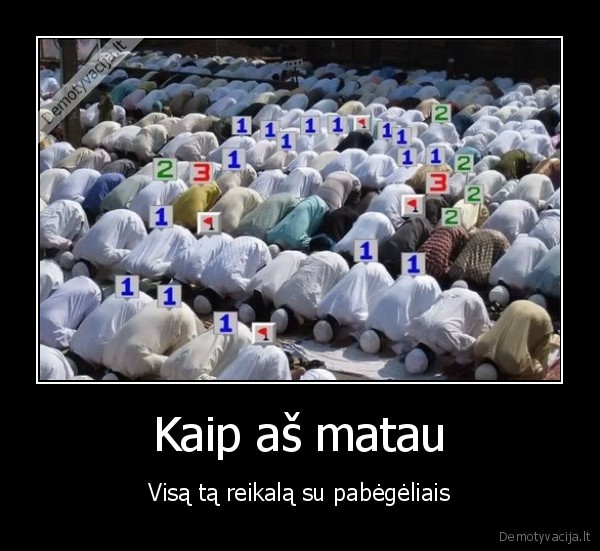 Kaip aš matau - Visą tą reikalą su pabėgėliais. 