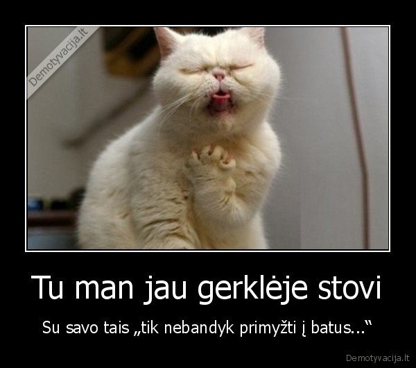 Tu man jau gerklėje stovi - Su savo tais „tik nebandyk primyžti į batus...“