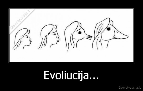 Evoliucija...