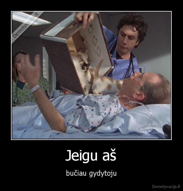 Jeigu aš - bučiau gydytoju. 