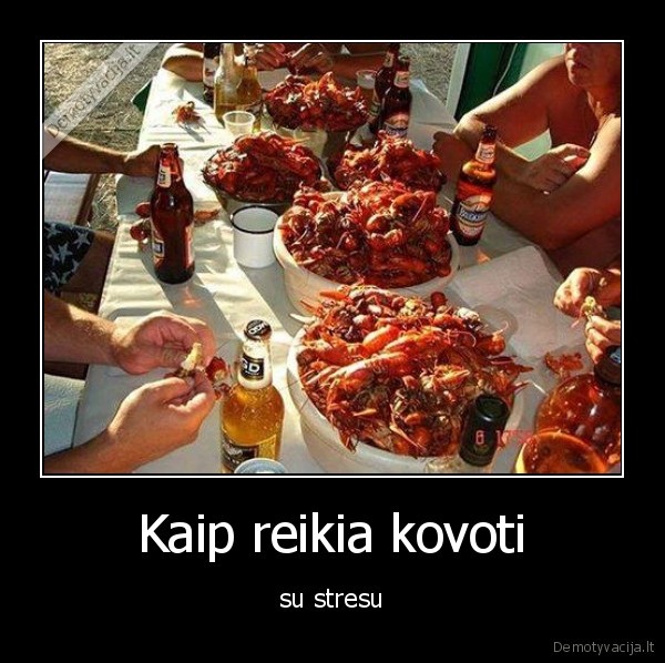 Kaip reikia kovoti - su stresu. 