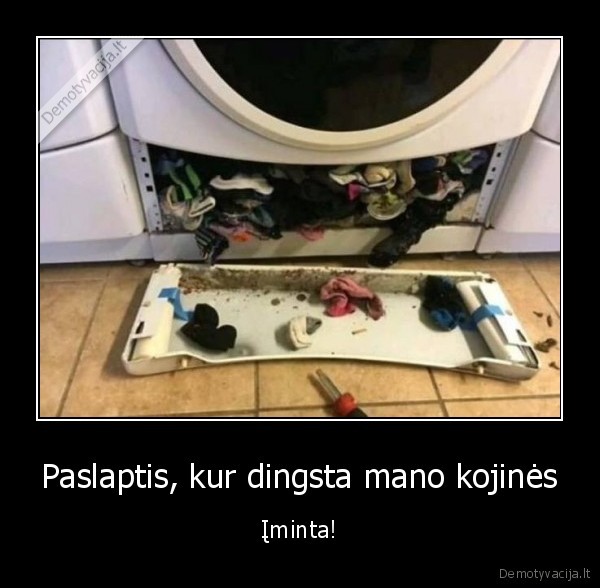 Paslaptis, kur dingsta mano kojinės - Įminta!. 