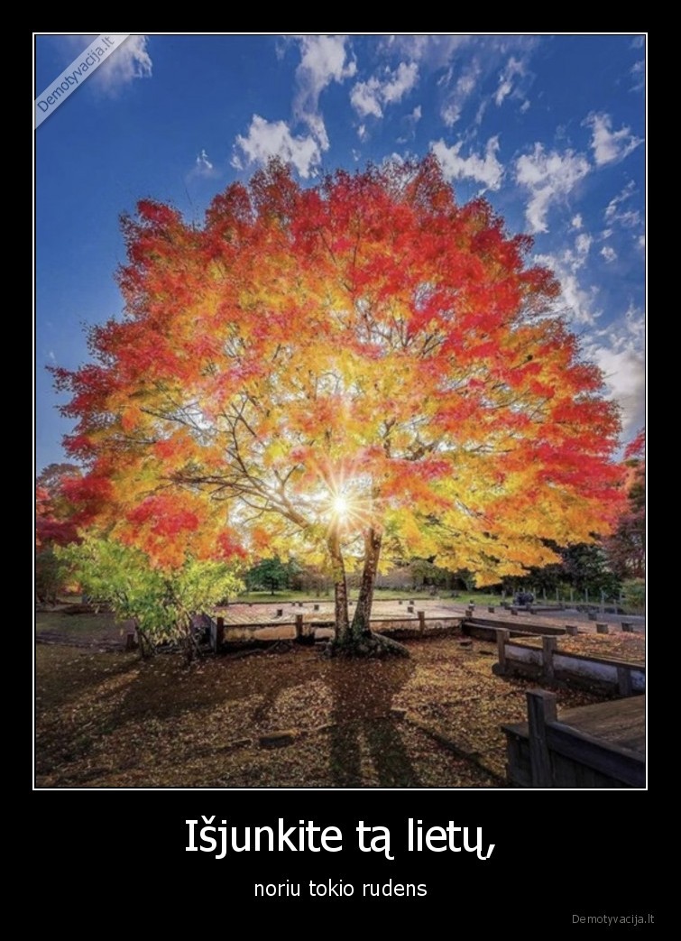 Išjunkite tą lietų, - noriu tokio rudens. 