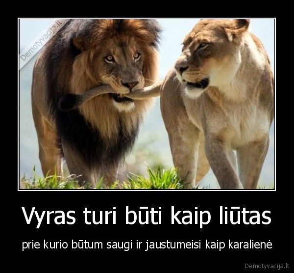 Vyras turi būti kaip liūtas - prie kurio būtum saugi ir jaustumeisi kaip karalienė. 